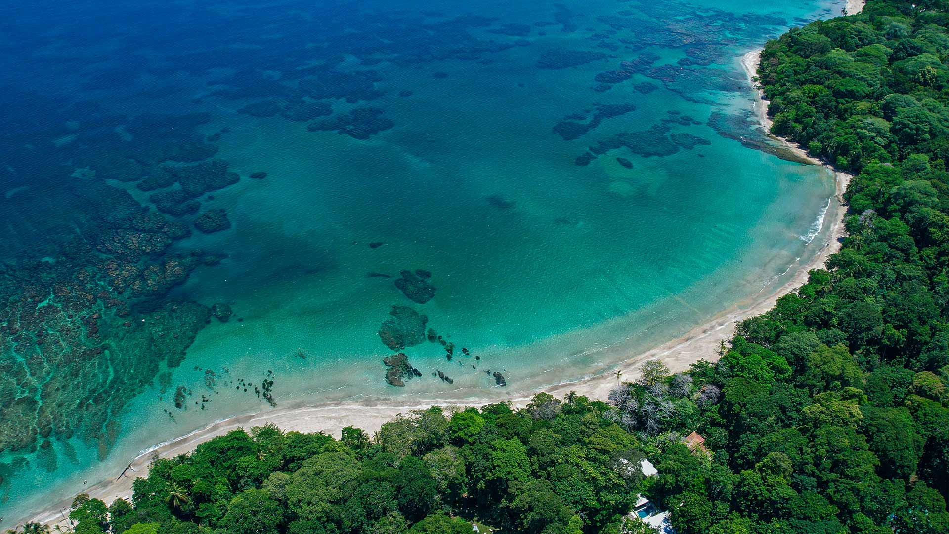 beaches