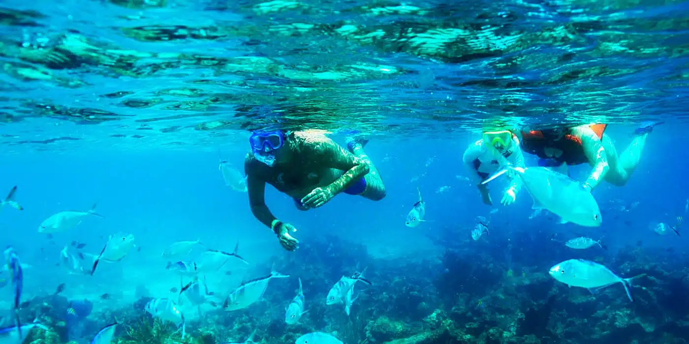 snorkel