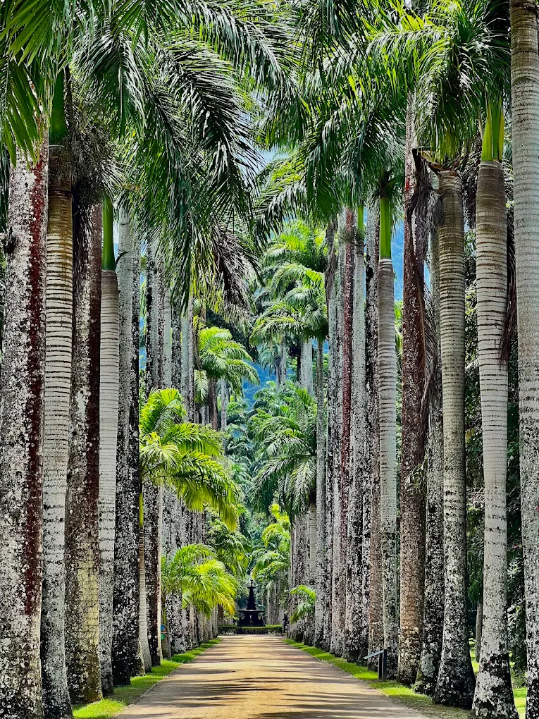 rio de janeiro naturaleza