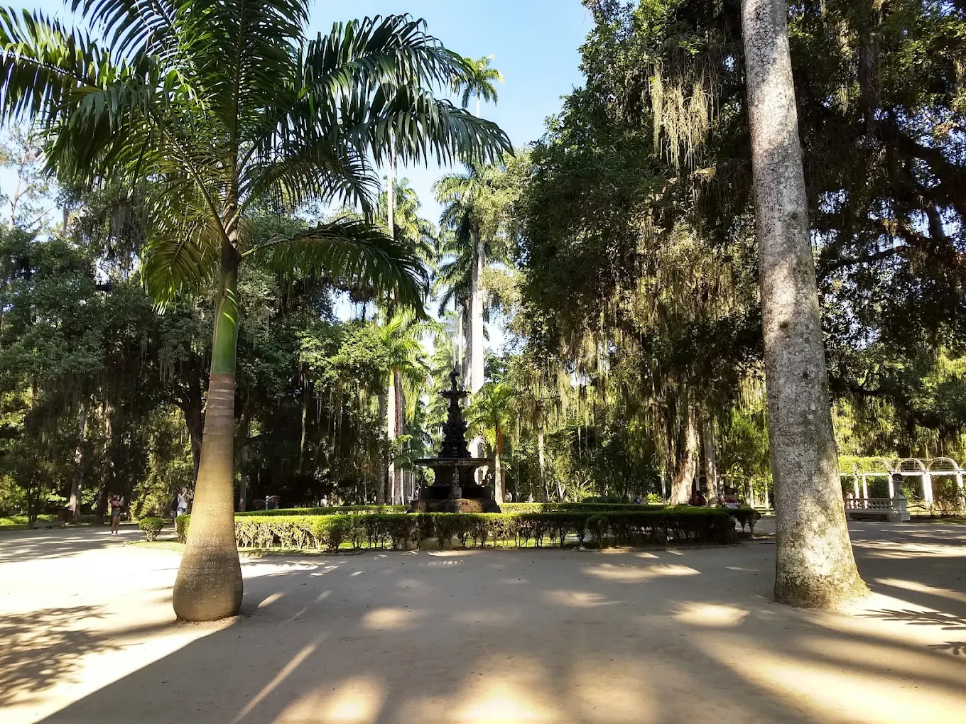 rio de janeiro naturaleza1