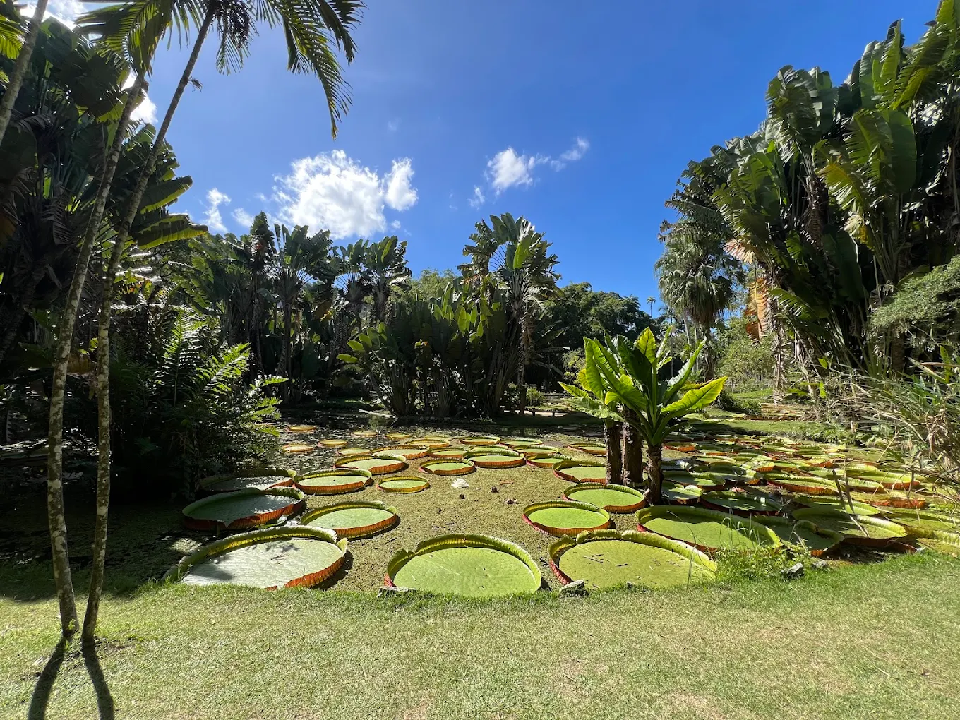 rio de janeiro naturaleza2