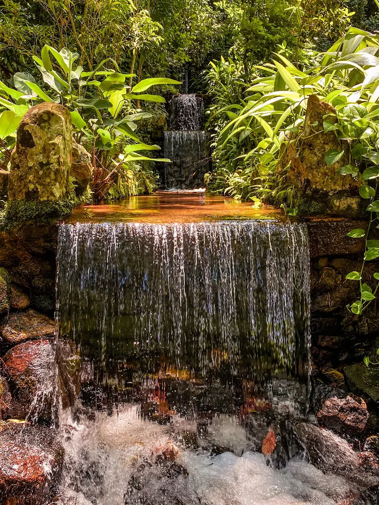 rio de janeiro naturaleza3