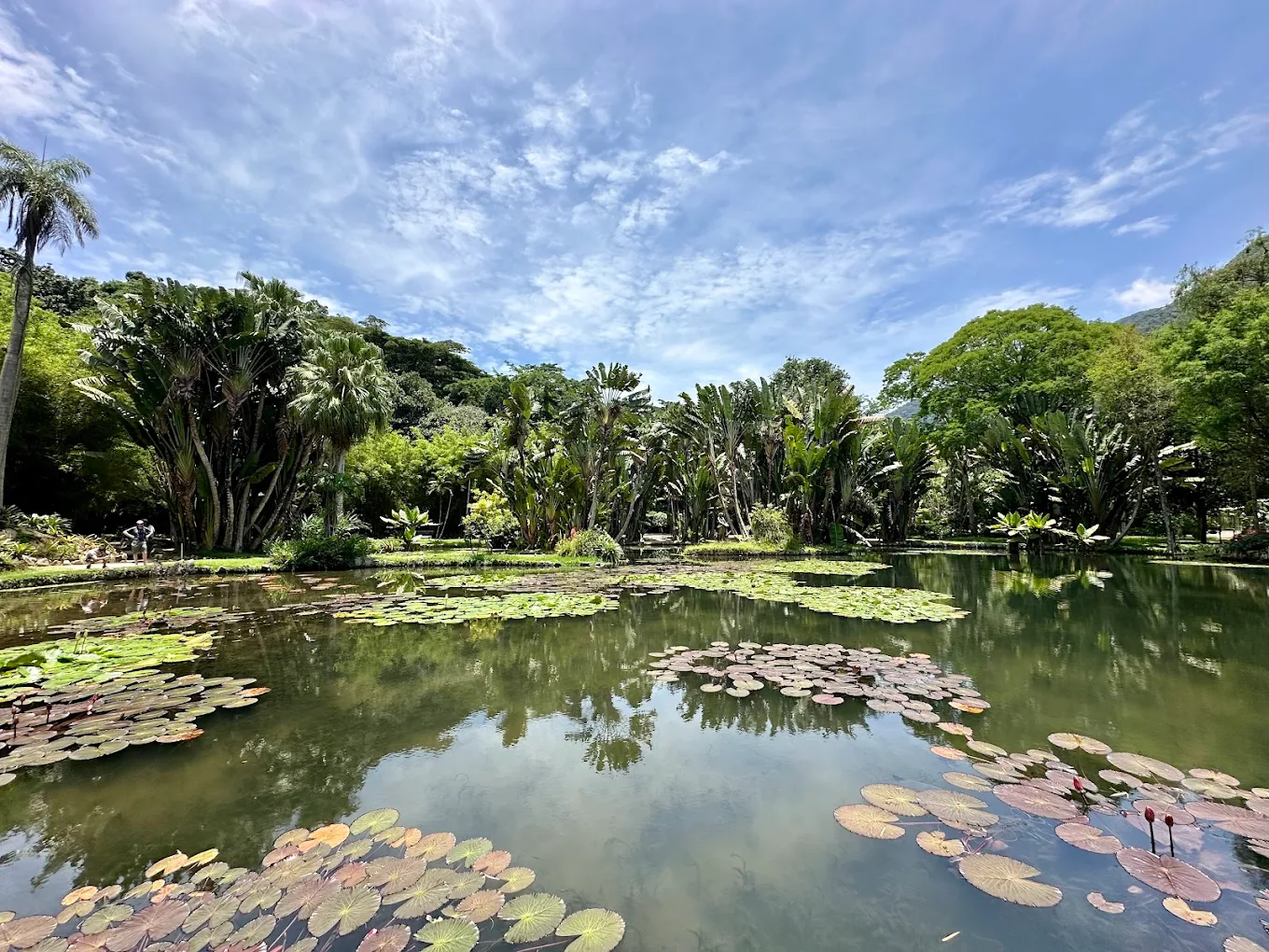 rio de janeiro naturaleza7