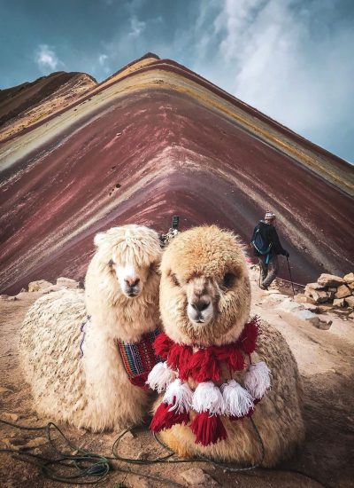 7cb5fbd06835566586f797f4a9edcc14